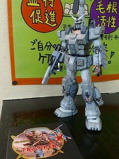 �����ڂ����@�O���[�w�A�@�������߁@�\�t�g���q�J���@�w���J�b�g�@�A�C�p�[�@�X�g�p�[�@CREO�@���f�B�[�X�V�F�[�u�@�w�l����@�h���C���[�Z�b�g