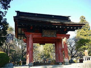 �w�A�[�T�����N���I�V�h�X�@���e�@���e�@�����@�U���@�����@��с@�X�L�����v�P�A�@�w�A�J�b�g�@�����Y�J�b�g�@�����e�@�N���I