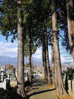 �w�b�h�X�p�@�w�b�h�}�b�T�[�W�@����P�A�@�u���[�X�@���グ�@�w���J�b�g�@�w�A�X�^�C�����O�@�V���[�g�w�A�@�w�A�X�^�C���@�C���`�F��