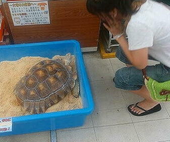 �A�C�����p�[�}�@�k�ы����@�N�Z�с@�X�L�����v�P�A�@��с@����P�A�@�w�b�h�X�p�@�w�b�h�}�b�T�[�W�@�t�F�C�V�����@�X�p�@���e�t�@���e�t�@�N���I�@�V�h