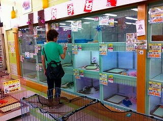 �w�A�[�J�b�g�@�����킹�J�b�g�@�����Y�J�b�g�@�V�F�[�r���O�@������@�����N�[�[�V�������j���[�@���f�B�[�X�V�F�[�u�@�X�g���[�g�p�[�}