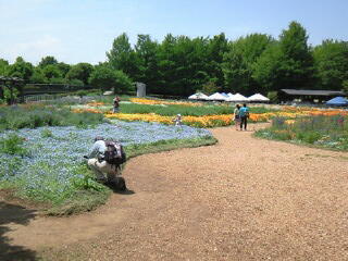 ����@������@���a�L�O�����@�o�[�x�L���[�@���N���G�[�V����